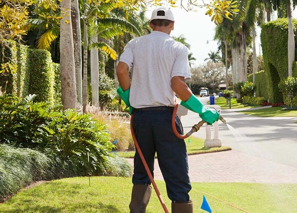 About Grassy Meadows WV Pest Control